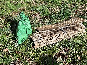 Müllsammler "Sauber macht lustig" 2023 