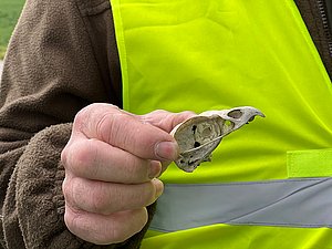 Müllsammler "Sauber macht lustig" 2023 