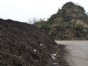 Kompostmiete mit holzigen Grüngutabfällen im Hintergrund