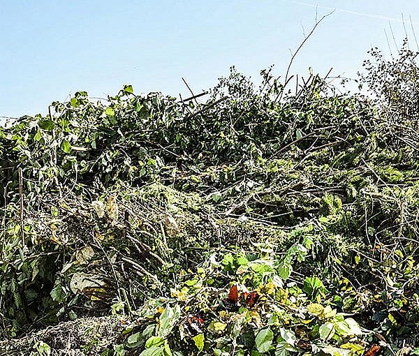 Grünguthaufen mit Strauchschnitt vor blauem Himmel