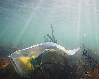 Verpackungsabfall auf dem Meeresgrund