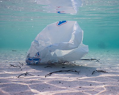 Plastiktüte auf dem Meeresgrund