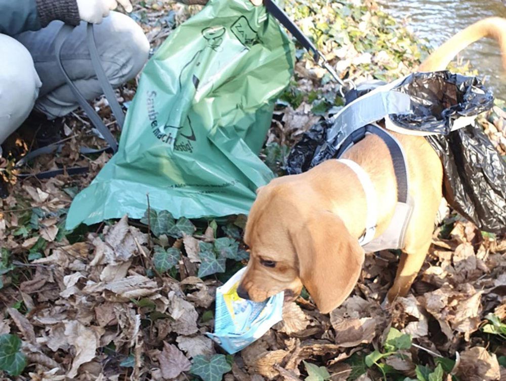 Hund beim Müllsammeln "Sauber macht lustig" 2021